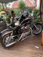 Reduziert/ Harley Davidson Sportster 883 XL/2  EZ3/93 nur 18000Km Niedersachsen - Großefehn Vorschau