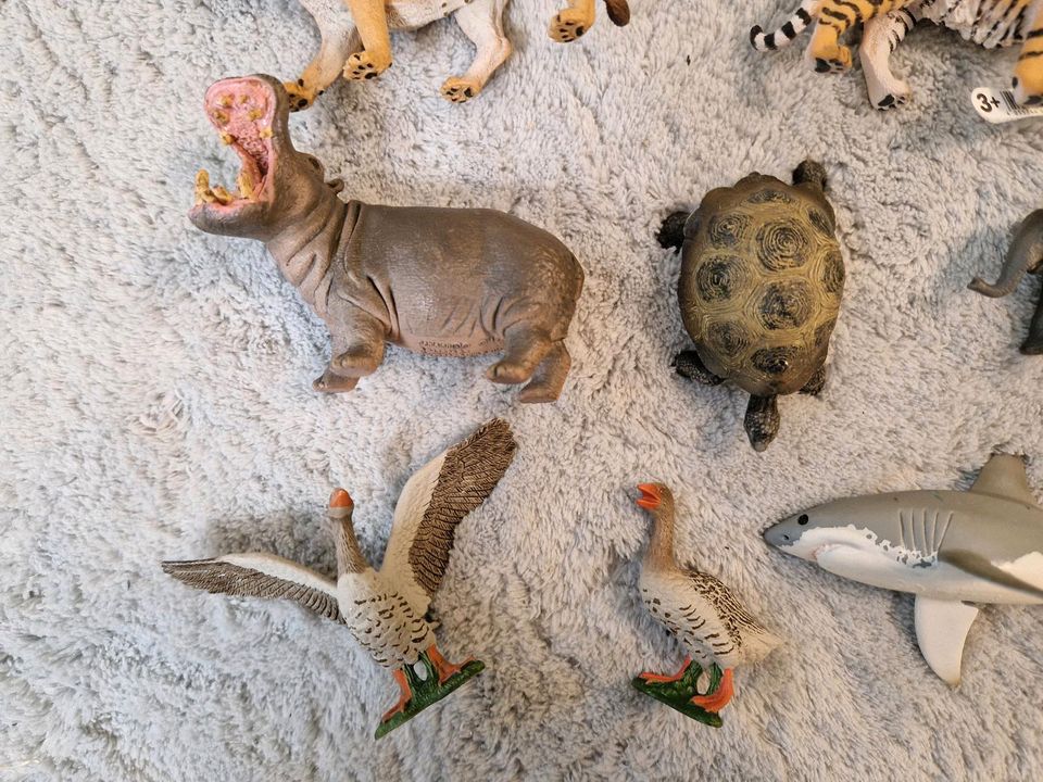 SCHLEICH Tiere im Set, Spiellandschaft, Zugaben, Schleich in Münster