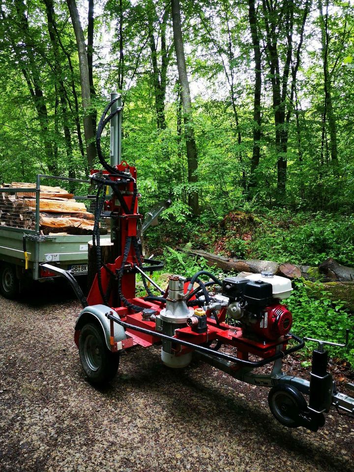 Holzspalter Spalter auf PKW Anhänger Verleih mieten ab 30€/Tag* in Kleinblittersdorf