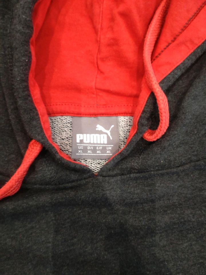 Puma Arsenal Hoodie, dunkelgrau, Gr. XL in Heek