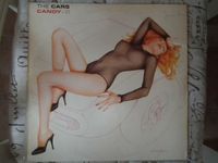 verschiedene LPs Vinyl von The Cars und Ric Ocasek Hessen - Langgöns Vorschau