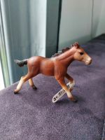 Schleich Pferd Fohlen Mustang Braun schwarze Mähne NEU Baden-Württemberg - Neulingen Vorschau