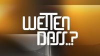 Suche Wetten Dass Sendung Aufnahme mit Gottschalk 25.11.2023 Hannover - Mitte Vorschau