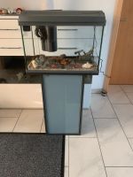 Aquarium 60 l komplett Set Baden-Württemberg - Jettingen Vorschau