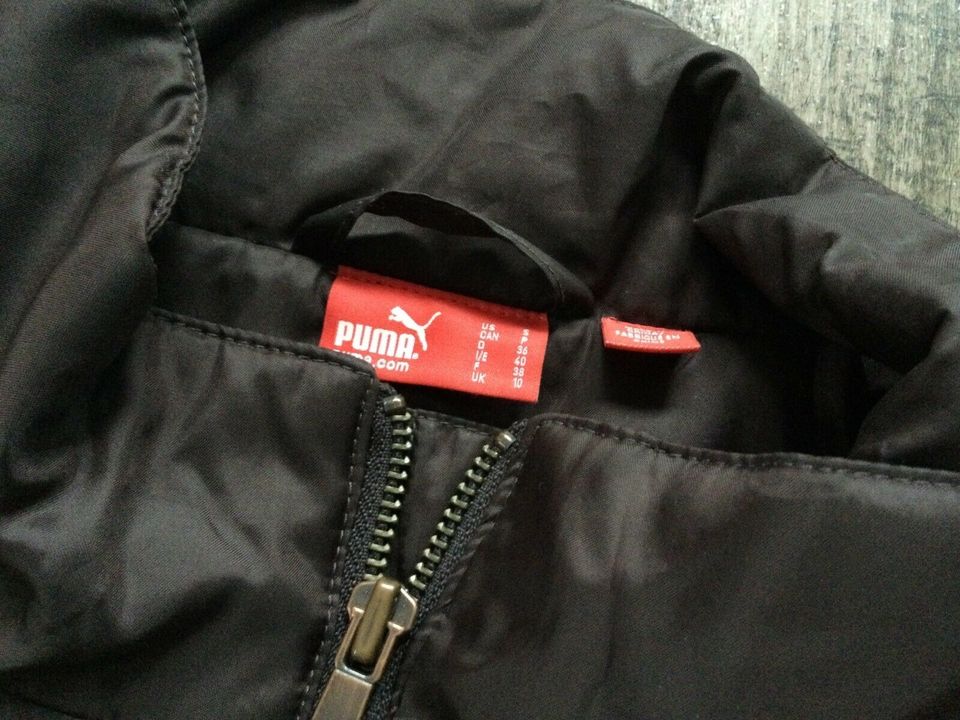 Puma Jacke Damen Gr. 36 in Rittersdorf