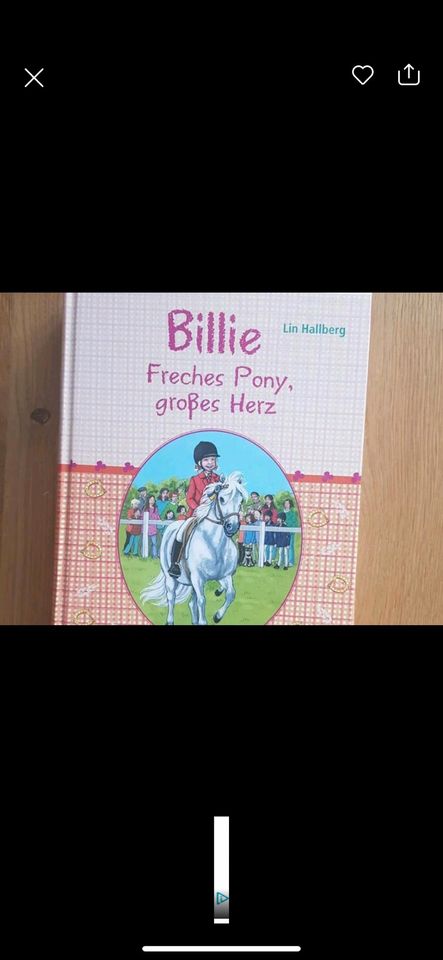 Buch Ponygeschichte Billie, freches Pony großes Herz in Bielefeld