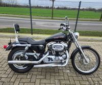 Harley-Davidson XL 1200 C SPORTSTER CUSTOM AMC AUSP+ HELM Niedersachsen - Bawinkel Vorschau