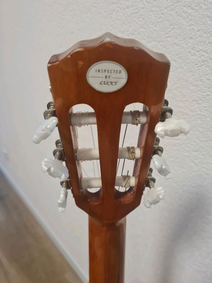 Fender ESC 105 Acoustics Gitarre in Dettingen unter Teck