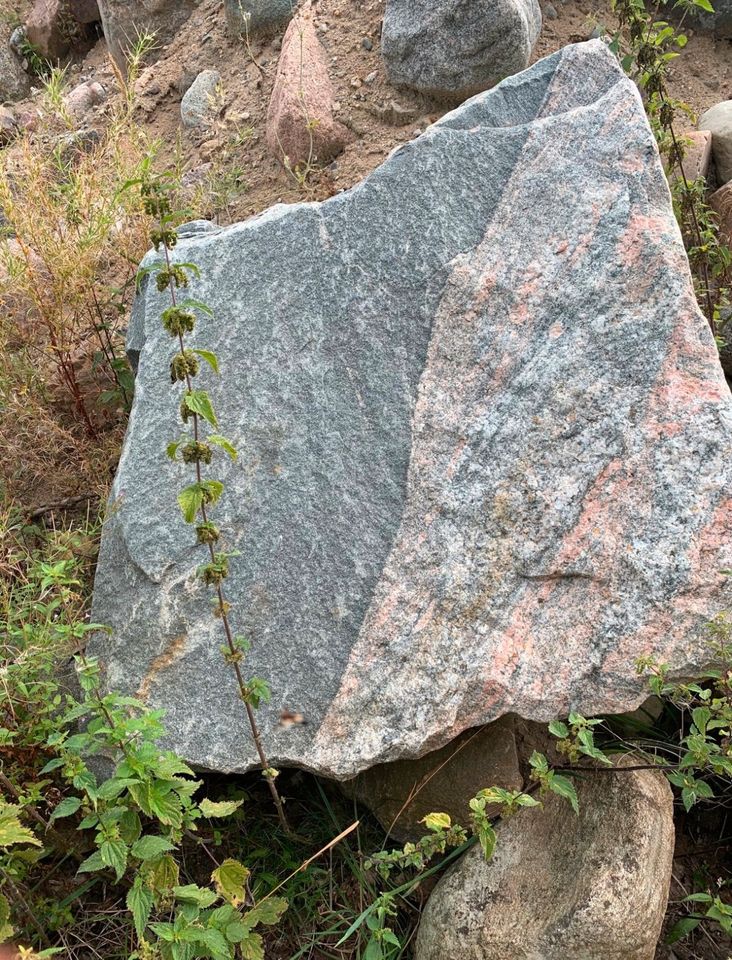 Wegen Geschäftsaufgabe große Findlinge sehr günstig zu verkaufen in Salzhausen