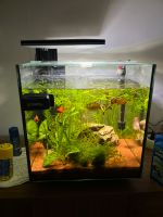 Aquarium 30 L wie Neu !! Niedersachsen - Eschede Vorschau