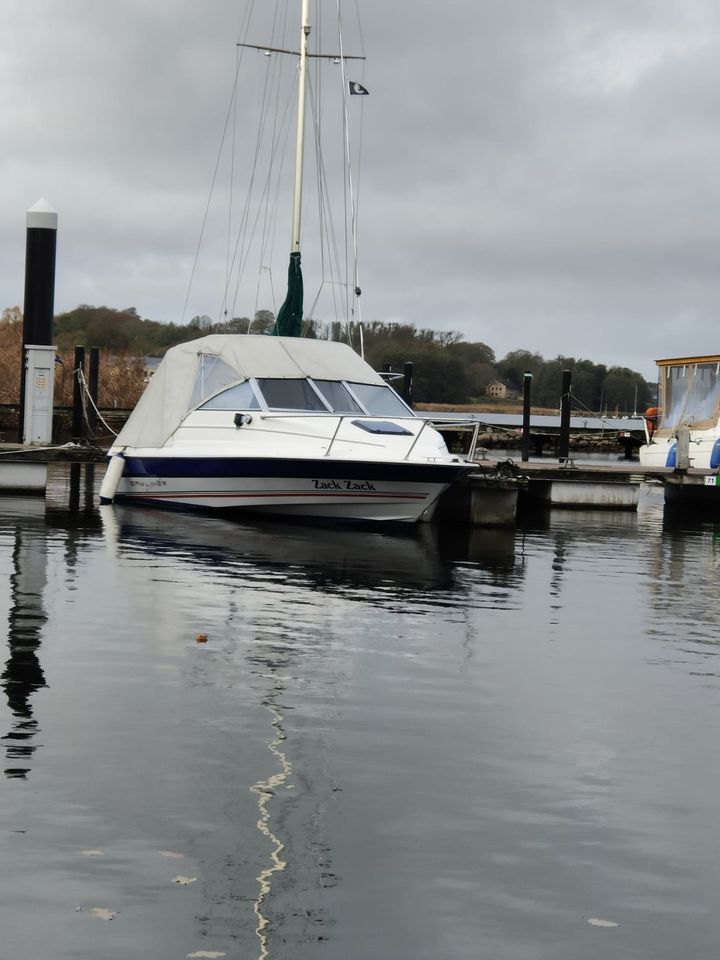 Motorboot Bayliner 1952 Bj.92 mit Heku Tandem Trailer in Fleckeby