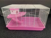 Käfig Kleintiere Hamster Ratte Maus Rutsche Haus Rosa Sachsen-Anhalt - Magdeburg Vorschau