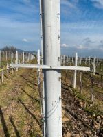 Fangdraht,Heftdraht Halter Ausleger Weinbau schwenkbar Rheinland-Pfalz - Großfischlingen Vorschau