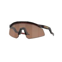 Oakley Hydra Prizm Sonnenbrille Neu! (MTB, Snow, Surf) Kr. Dachau - Odelzhausen Vorschau