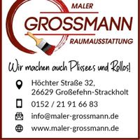 Plissees inklusive Montage Niedersachsen - Großefehn Vorschau