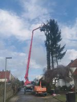 Baumfällungen Baumpflege Bielefeld - Stieghorst Vorschau