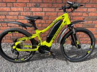 HAIBIKE SDURO HARDFOUR 1.0 LIME/TITAN/SCHWARZ - MTB HARDTAIL - Niedersachsen - Wallenhorst Vorschau