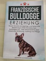 Französische Bulldogge Erziehung Baden-Württemberg - Weissach im Tal Vorschau