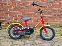 Kinderfahrrad 12,5 Zoll Pegasus Lernfahrrad Kinderrad Niedersachsen - Loxstedt Vorschau