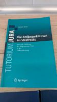 12 Lehrbücher Strafrecht 1. und 2. Examen Brandenburg - Erkner Vorschau