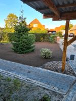 Garten, Plaster, Zaun und Hecken arbeiten Niedersachsen - Ihlow Vorschau