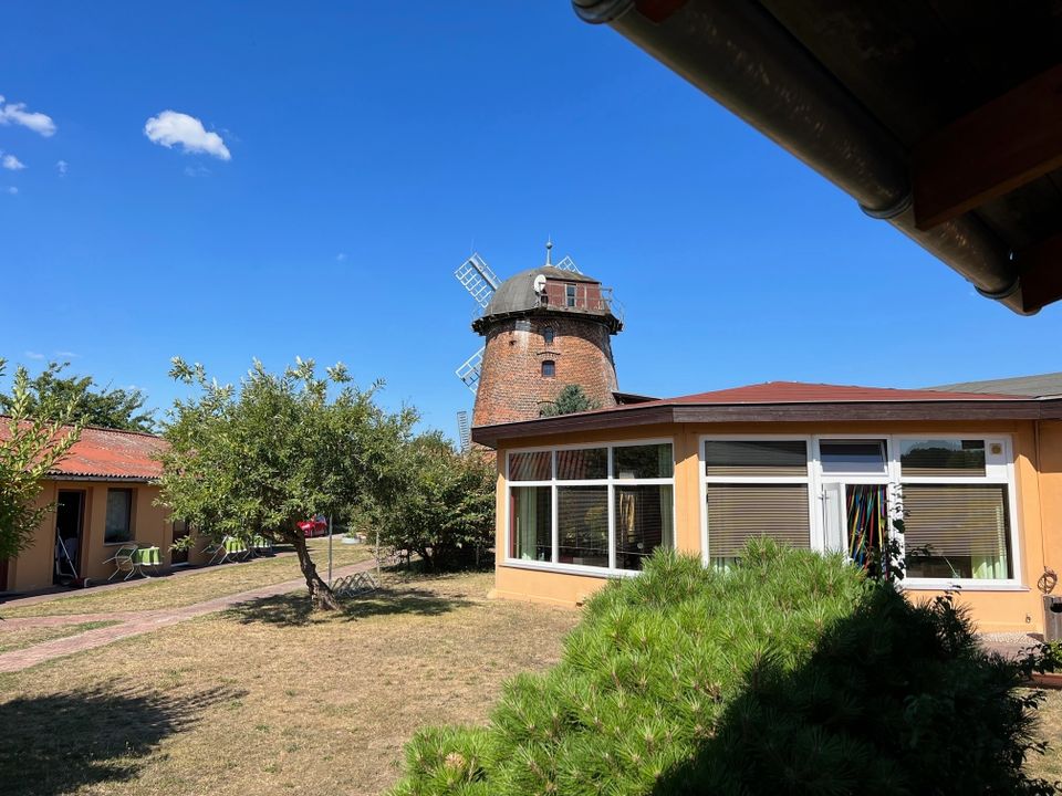 Ca. 10.500 m2 Grundstück! Die historische urig-idyllische Pension "Holländer Mühle" in Rheinsberg