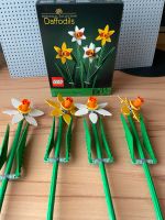 Lego Botanic: Osterglocken und Tulpen Bonn - Kessenich Vorschau