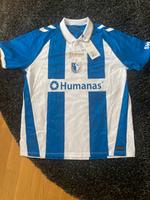 1. FC Magdeburg Sondertrikot Sachsen-Anhalt - Möser Vorschau