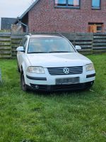 VW Passat 3bg, 1,9 TDI Schleswig-Holstein - Kropp Vorschau