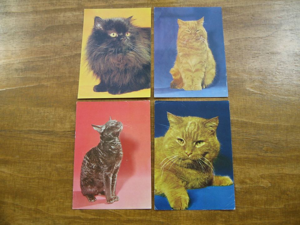 Postkarten mit Katzen oder Hunden ab 1964 in Lichtenfels