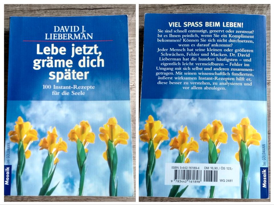 LEBE JETZT, GRÄME DICH SPÄTER - 100 Instant-Rezepte für die Seele in Wilnsdorf