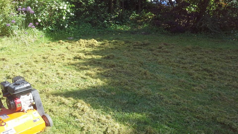 Rasen vertikutieren, Rasenpflege, Rollrasen, Neuanlage in Hamburg