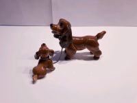 Hummel Porzellan Figur Hund "Spaniel mit Welpe" Nürnberg (Mittelfr) - Nordstadt Vorschau