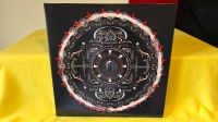 Doppel LP '2012' Shinedown Amaryllis +B: Kreis Pinneberg - Pinneberg Vorschau