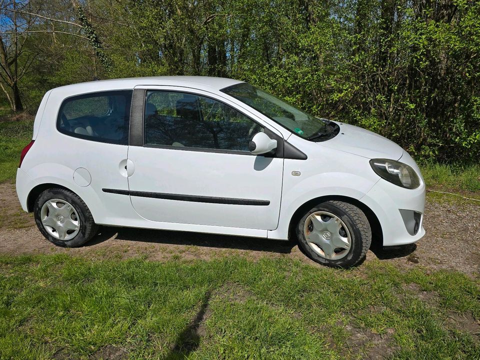 Renault  Twingo in Krauchenwies