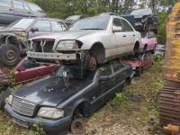 Schlachtfest Mercedes W202 Teile Baden-Württemberg - Deggingen Vorschau