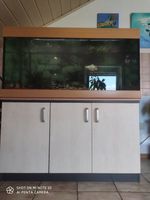 MP Aquarium 130 x 60 x 60 cm, 468 liter Nordrhein-Westfalen - Salzkotten Vorschau