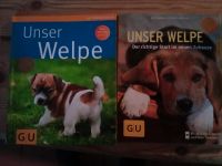 Hunde, Bücher, Welpe, Erziehung, Sprache, Clickertraining Nordrhein-Westfalen - Euskirchen Vorschau