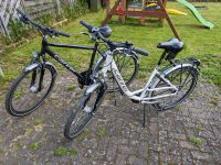 Zwei Carver Fahrräder Rheinland-Pfalz - Bad Neuenahr-Ahrweiler Vorschau