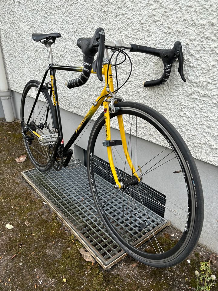 Rennrad Panasonic DX3000 RH 54 cm mit Campagnolo 2X10 Fach in Regensburg