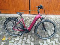 Hercules Futura Comp I-12  Trekking e-bike Baden-Württemberg - Gengenbach Vorschau