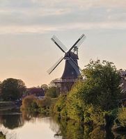 Windmühle Gartendeko Nordrhein-Westfalen - Selfkant Vorschau