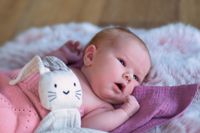 Baby Neugeborenen Shooting Newborn - Shooting Fotografin Niedersachsen - Garbsen Vorschau