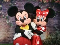 Mickey oder Minnie Maus Maskottchen Kostüm Geburtstag Party Hochz Berlin - Steglitz Vorschau