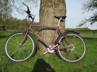 Kiowa Mountain Bike 26 er Shimano Special STX Niedersachsen - Verden Vorschau