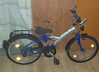 Pegasus Fahrrad Youngster Kinderbike 21 Zoll Rücktrittbremse Niedersachsen - Uelzen Vorschau