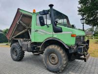 Unimog U1000 Landwirtschaftliche Niedersachsen - Emlichheim Vorschau