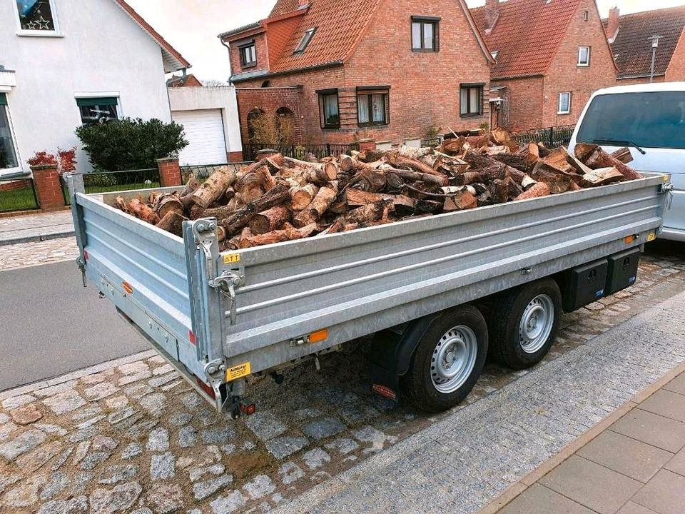 Holztransporte aller Art Schnittholz, Brennholz Rundholz Hackschn in Güstrow