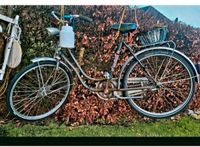 Altes Fahrrad, Gartendeko, Dekoration...50 Euro Niedersachsen - Barßel Vorschau
