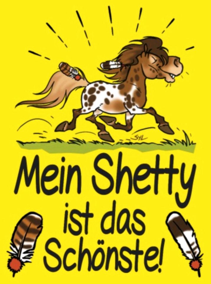 Junge Shetty-Dame sucht Beschäftigung in Reichshof
